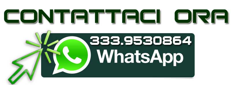 Spiare Roma contattaci tramite Whatsapp